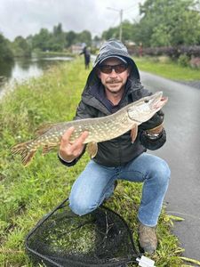 Northern Pike