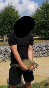 Common Bream