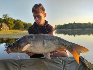 Mirror Carp