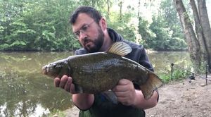 Tench