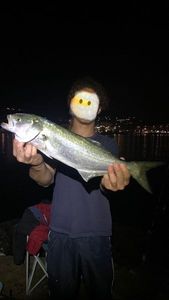 Bluefish