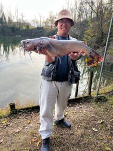 Channel Catfish