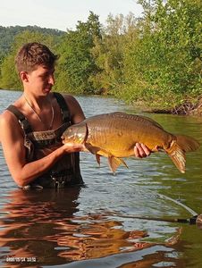 Mirror Carp