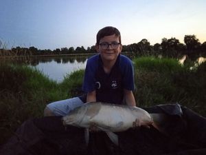 Mirror Carp