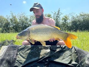 Common Carp