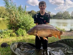 Mirror Carp