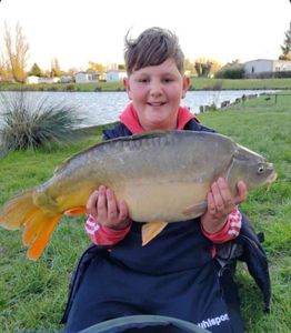 Mirror Carp