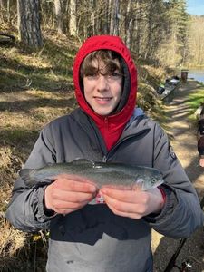 Cutthroat Trout