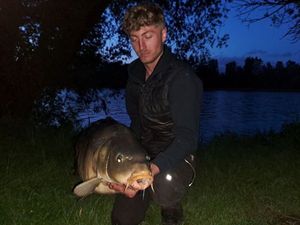 Mirror Carp