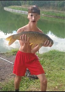 Common Carp