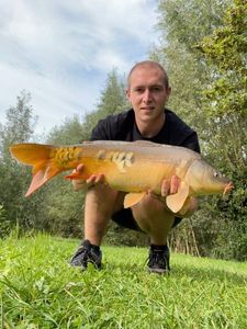 Mirror Carp