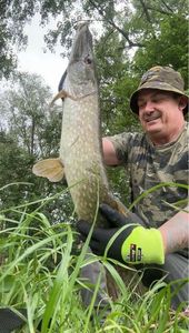 Northern Pike