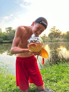 Mirror Carp