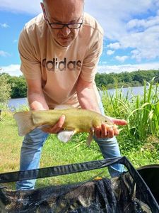 Tench