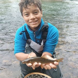 Barbel