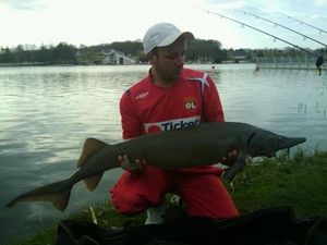 Siberian Sturgeon