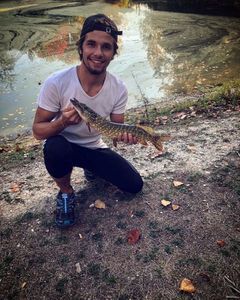 Northern Pike