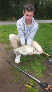 Common Bream