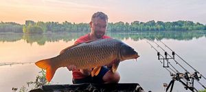 Common Carp