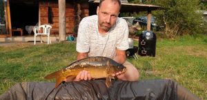 Mirror Carp