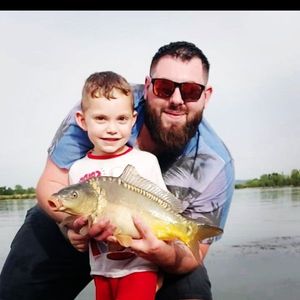 Mirror Carp