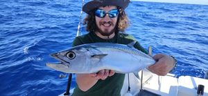 Dogtooth Tuna