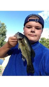 Largemouth Bass