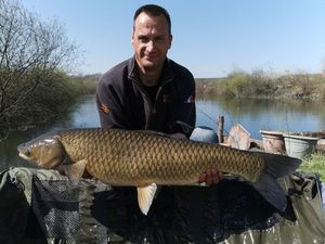 Grass Carp