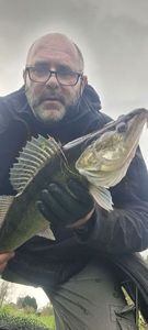 Zander