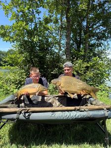 Common Carp