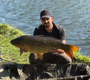 Common Carp