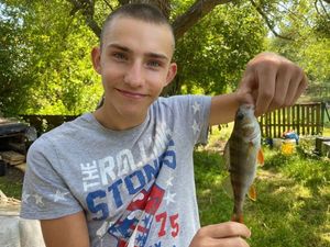 European Perch