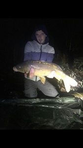 Mirror Carp