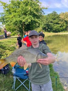 Common Carp