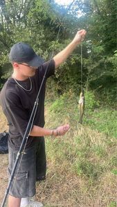 Largemouth Bass