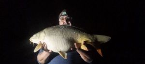 Mirror Carp