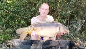Mirror Carp