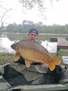 Mirror Carp