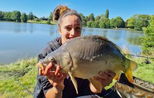 Common Carp