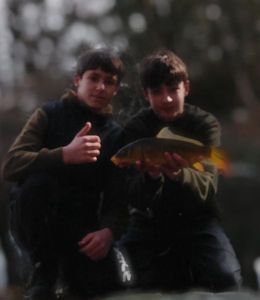 Common Carp