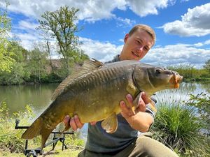 Mirror Carp