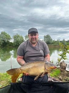 Common Carp