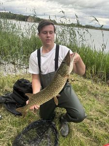 Northern Pike
