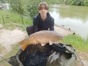 Mirror Carp