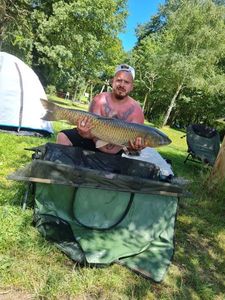 Grass Carp