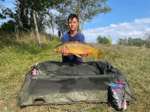 Mirror Carp