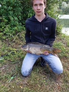 Mirror Carp