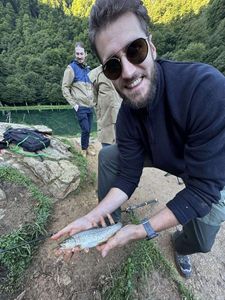 Rainbow Trout
