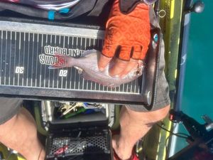 Red Porgy
