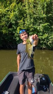 Largemouth Bass